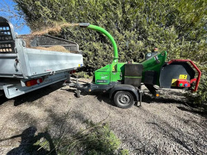 Photo de galerie - Elagage et coupe d'arbres