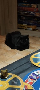 Photo de galerie - Garde chat