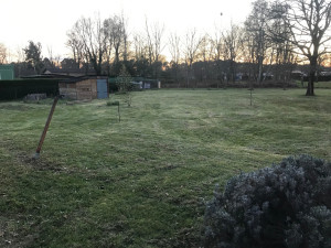 Photo de galerie - Tonte de pelouse - Débroussaillage