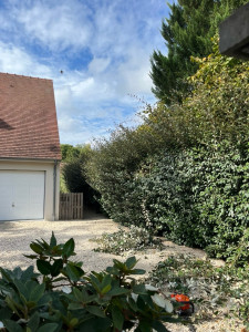 Photo de galerie - Taille de haies et d'arbustes