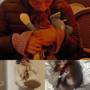 Photo de galerie - Garde de Olive 