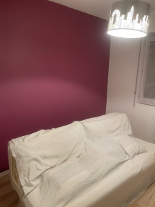 Photo de galerie - Rattrapage / mise en peinture ( bordeaux)