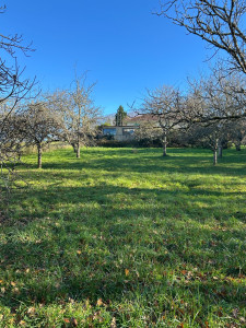 Photo de galerie - Jardinâge