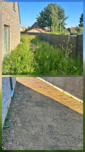 Photo de galerie - Paysagiste - Aménagement du jardin