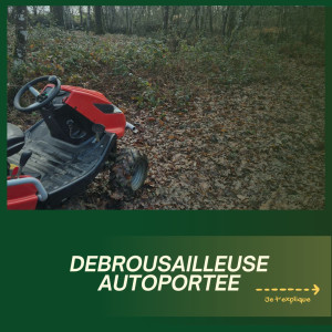 Photo de galerie - Tonte de pelouse - Débroussaillage