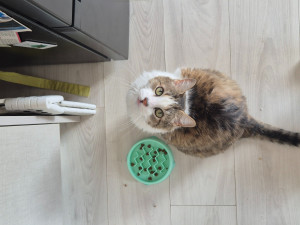 Photo de galerie - Papy Pichu est un gourmand