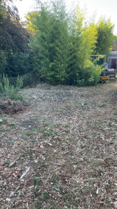Photo de galerie - Paysagiste - Aménagement du jardin