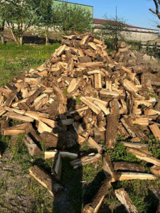 Photo de galerie - Bois / Bois de chauffage / Bastaing