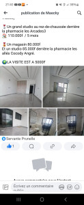 Photo de galerie - Intervention professionnelle 