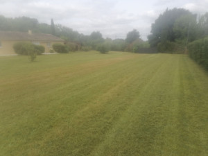 Photo de galerie - Tonte de 4000m2