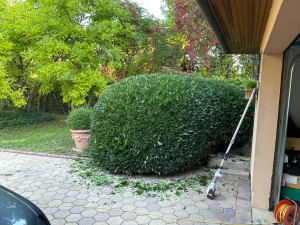 Photo de galerie - Tre bonn et at