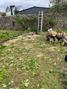 Photo de galerie - Abattage après 