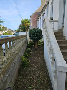 Photo de galerie - Taille de haies et d'arbustes