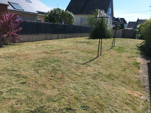 Photo de galerie - Débroussaillage et passage du souffleur 