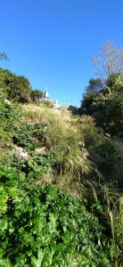 Photo de galerie - Tonte de pelouse - Débroussaillage