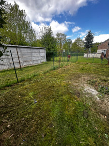 Photo de galerie - Tonte de pelouse 