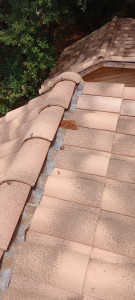 Photo de galerie - Changement de closoir sur feytieres