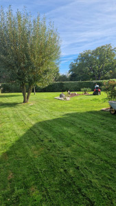 Photo de galerie - Tonte de pelouse - Débroussaillage