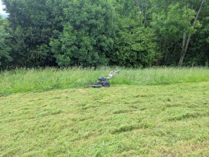 Photo de galerie - Tonte de pelouse - Débroussaillage