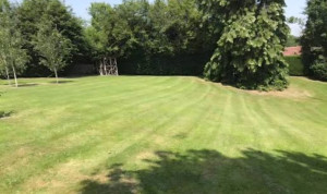 Photo de galerie - Tonte de Jardin + élagage haie