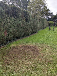 Photo de galerie - Paysagiste - Aménagement du jardin