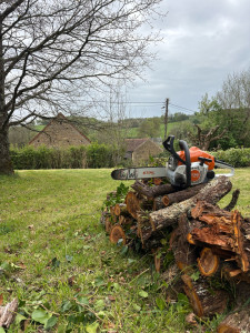 Photo de galerie - Elagage et coupe d'arbres