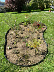 Photo de galerie - Enlever les mauvaises herbes