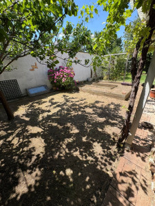 Photo de galerie - Tonte de pelouse - Débroussaillage