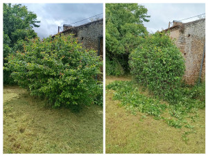 Photo de galerie - Taille de haie 