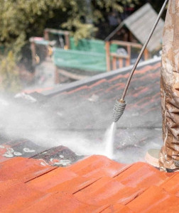 Photo de galerie - Nettoyage / Demoussage 