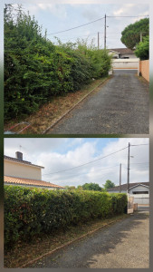 Photo de galerie - Taille de haie à Yvrac