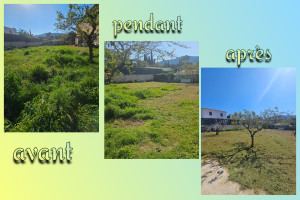 Photo de galerie - Tonte de pelouse 