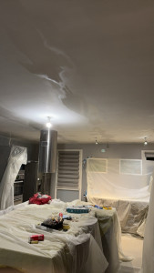 Photo de galerie - Peinture / Enduit