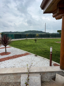 Photo de galerie - Tonte