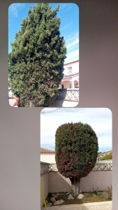 Photo de galerie - Prestation de travail avant et après 