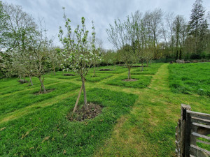 Photo de galerie - Aménagement verger