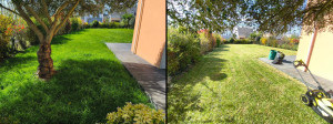 Photo de galerie - Tonte pelouse