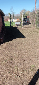 Photo de galerie - Plus de ronce !!