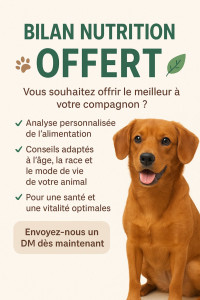 Photo de galerie - Bilan nutrition 