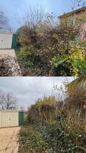 Photo de galerie - Rabattage de haie 