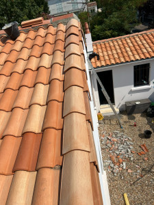 Photo de galerie - Changement de rive 