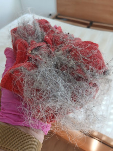 Photo de galerie - Ménage