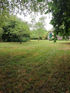 Photo de galerie - Entretien chez une cliente