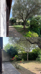 Photo de galerie - Entretien petit jardin 