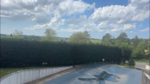 Photo de galerie - Taille de haies et d'arbustes