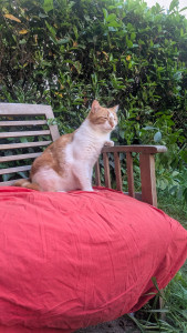 Photo de galerie - Garde animaux