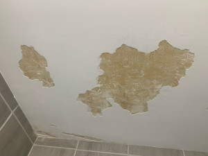 Photo de galerie - Enduit plafond salle de bain 
