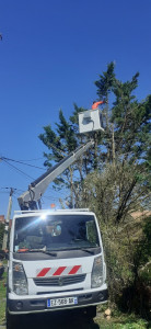Photo de galerie - Intervention avec nacelle pour elagage et abattage arbre dangereux 