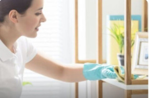 Photo de galerie - Femme de mennage et garde des enfants