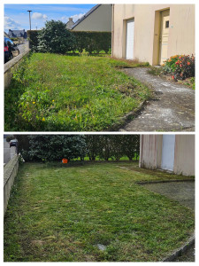Photo de galerie - Remise au propre d'une pelouse 